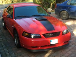 Ford Mustang Mach 1 2004